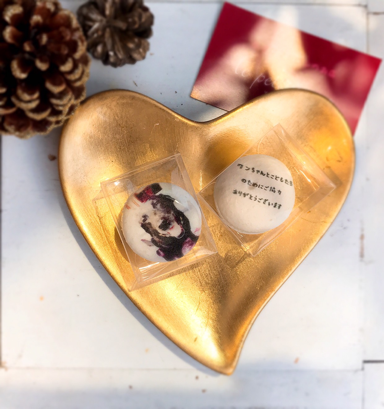 糖尿病 アラート 犬